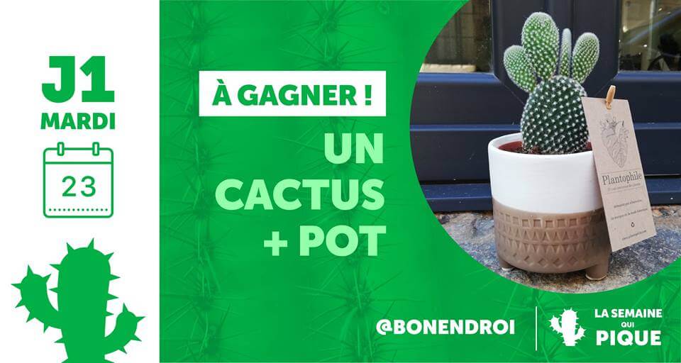 image ?J1 - Concours qui pique les doigts ?